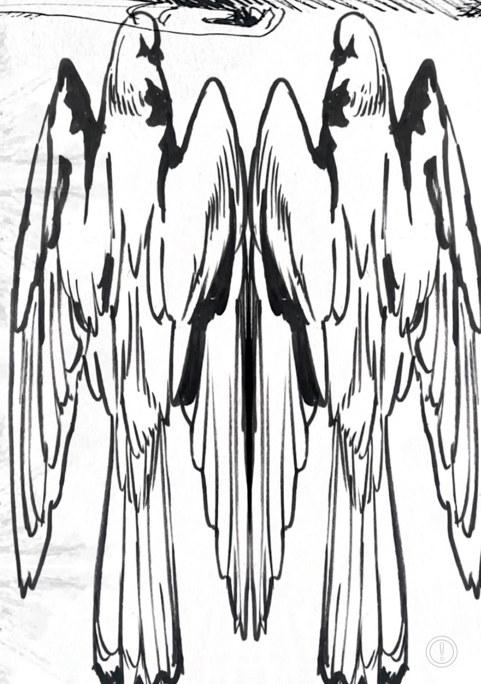 bird2