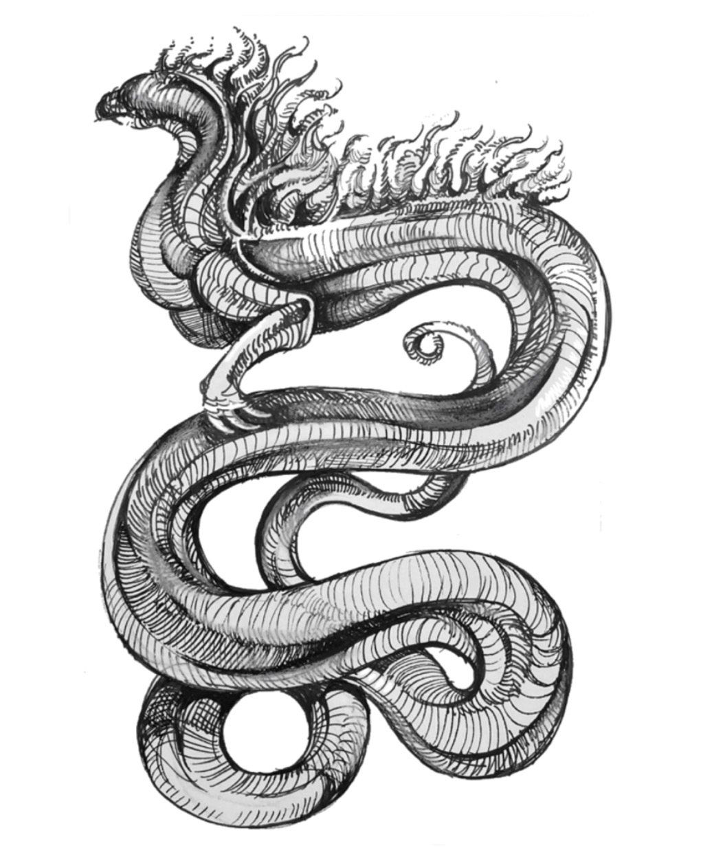dragon