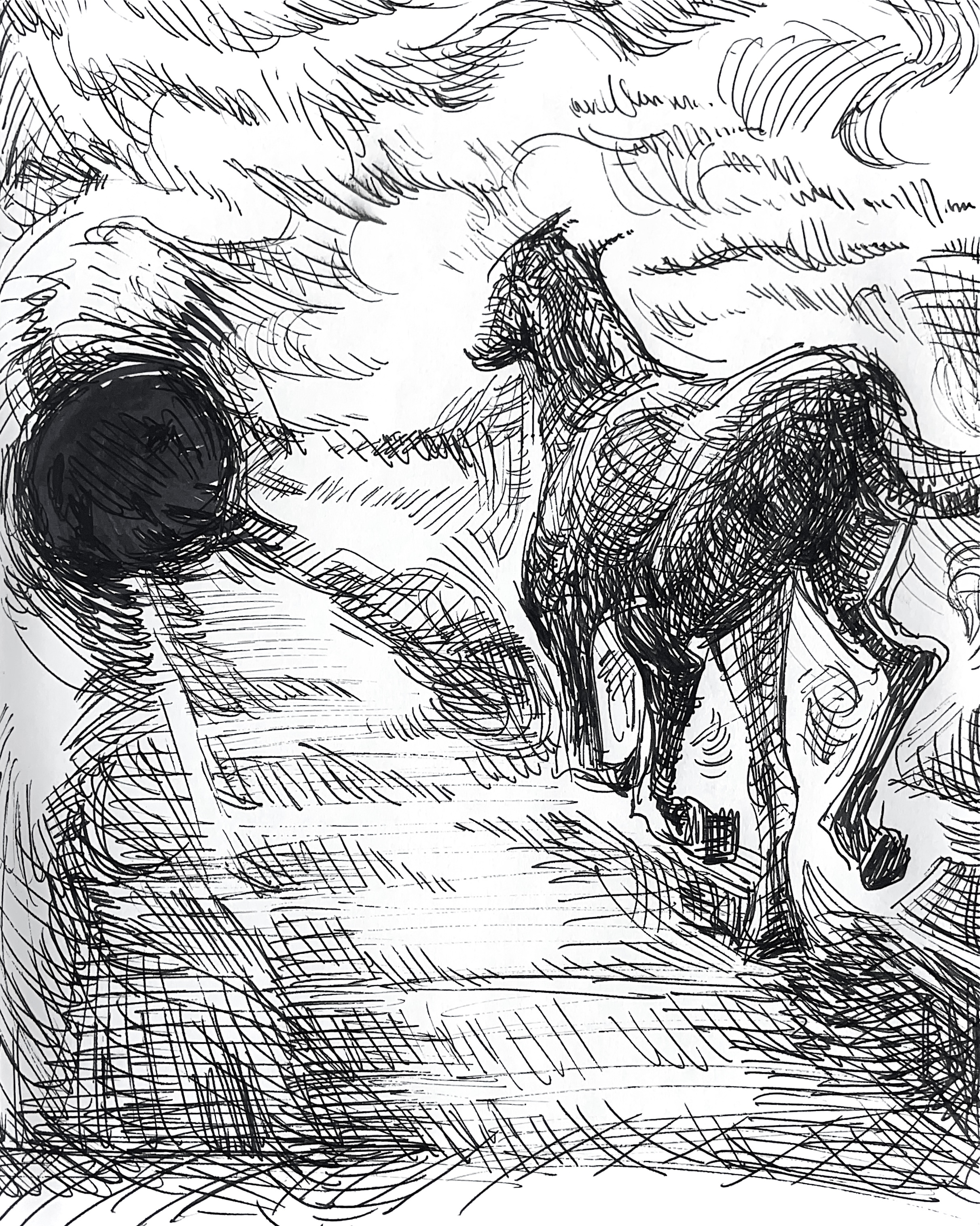 horse1