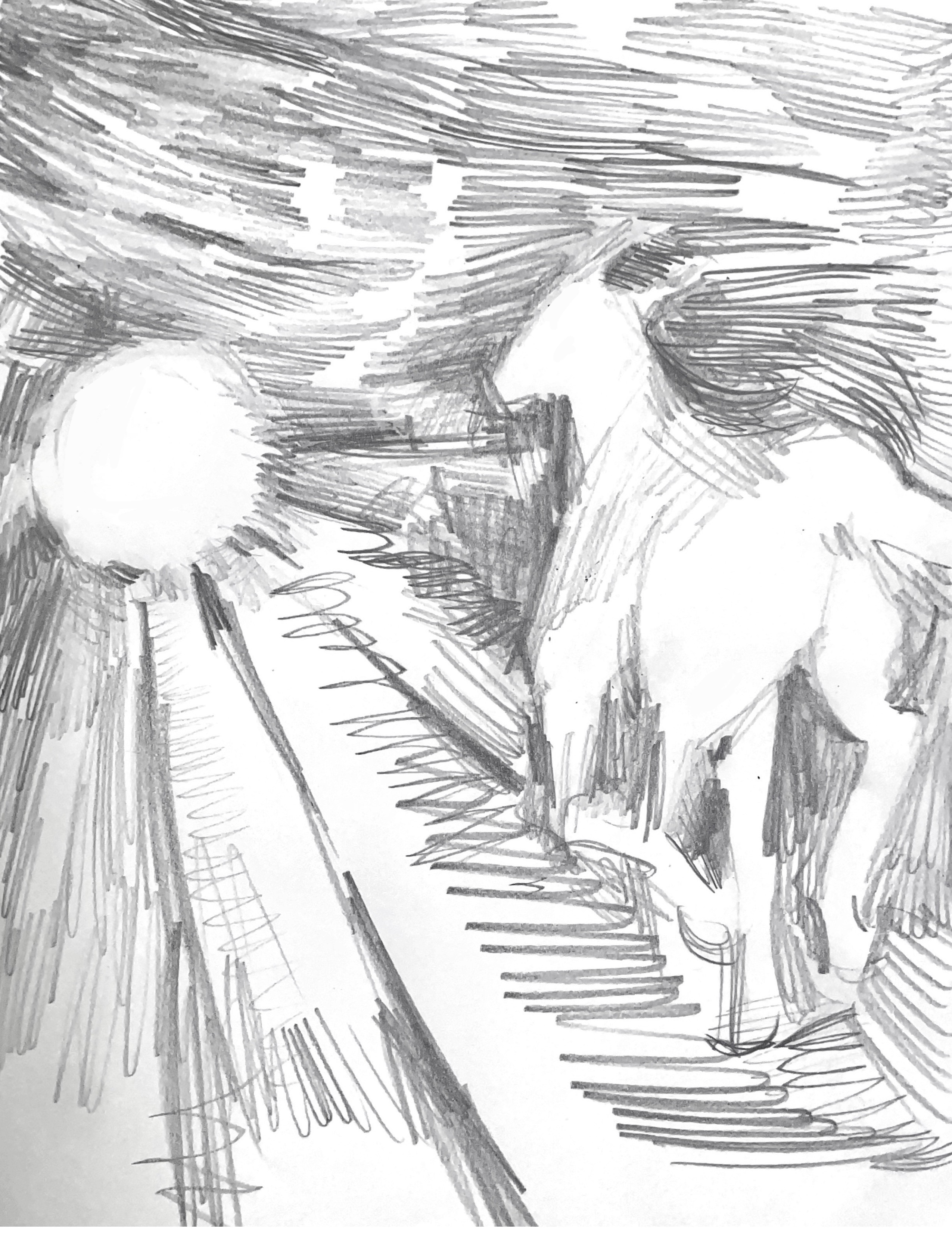 horse2
