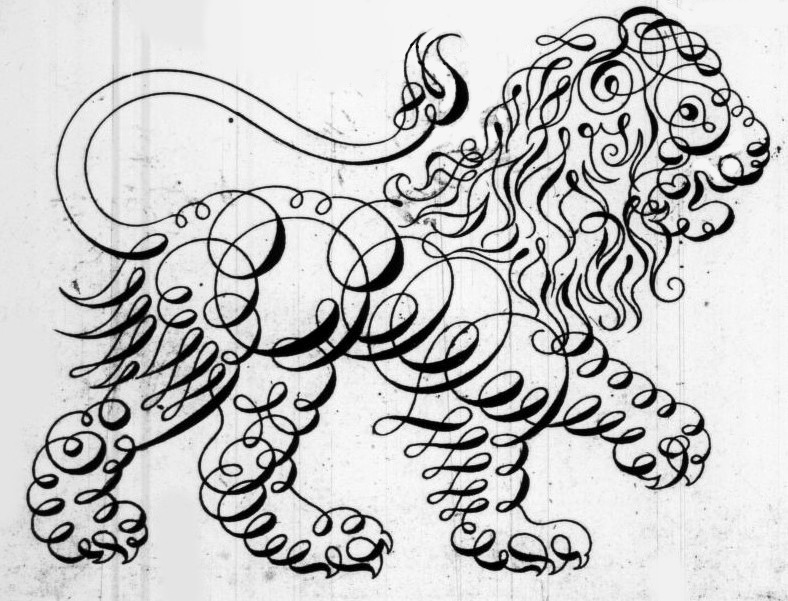 lion